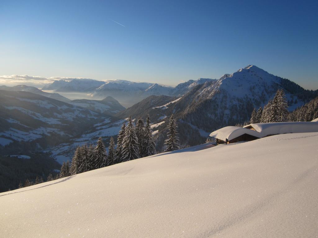 Apartment Acker Alpbach Luaran gambar