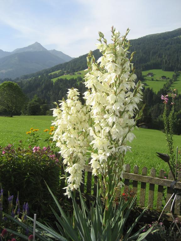 Apartment Acker Alpbach Luaran gambar