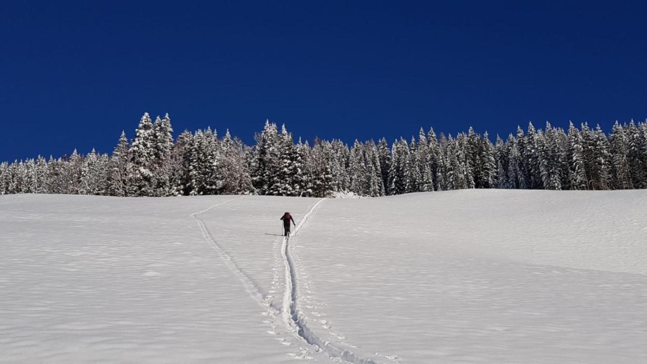 Apartment Acker Alpbach Luaran gambar