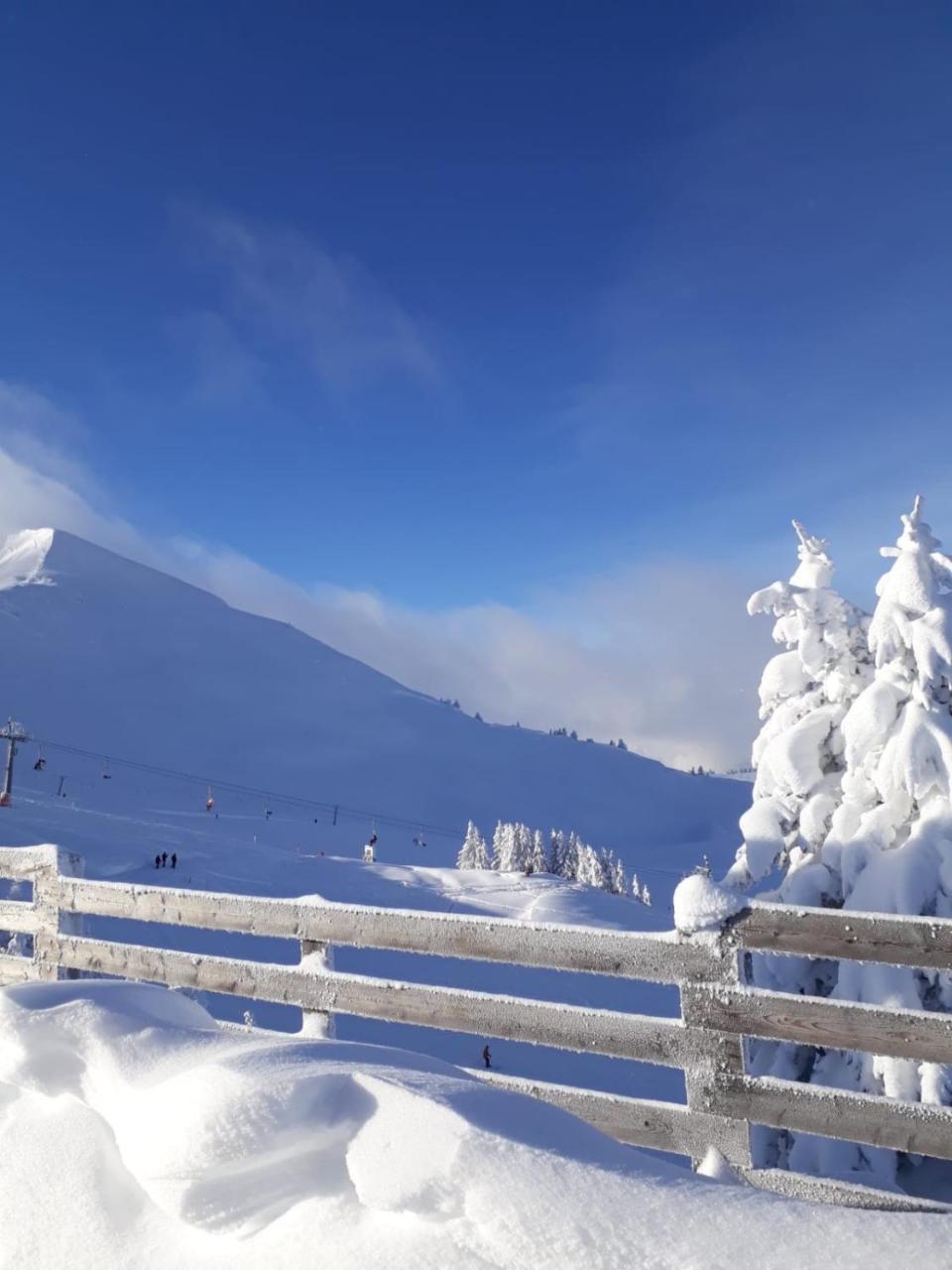 Apartment Acker Alpbach Luaran gambar