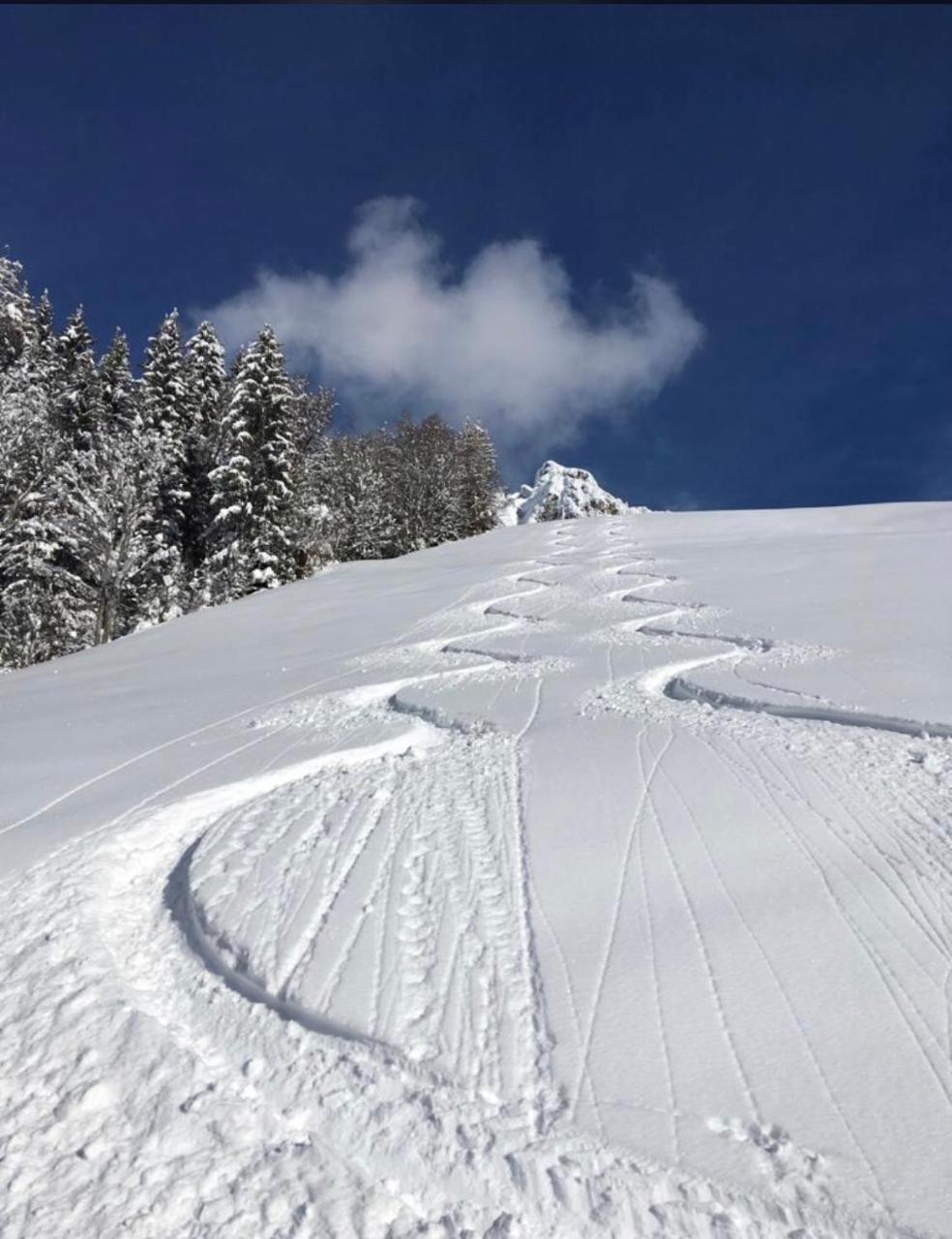 Apartment Acker Alpbach Luaran gambar